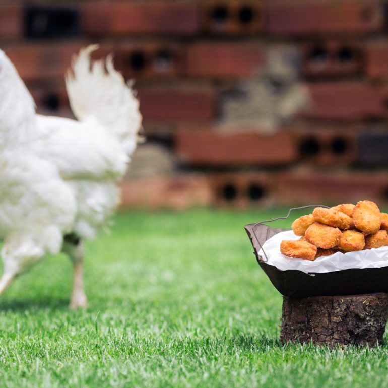 CROQUETAS TILA